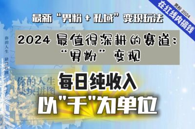 【揭秘】把“男粉”流量打到手，你便有无数种方法可以轻松变现，每日纯收入1000+