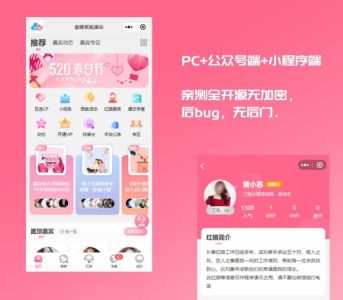 红娘金媒婚恋相亲系统源码婚恋程序小程序